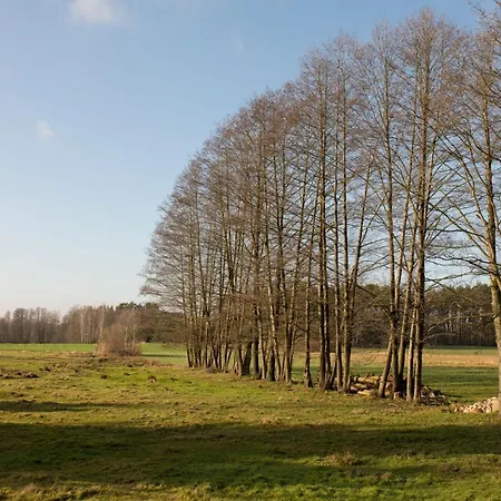 Villa Mala Holenderka - Lewy Brzeg Narwi *