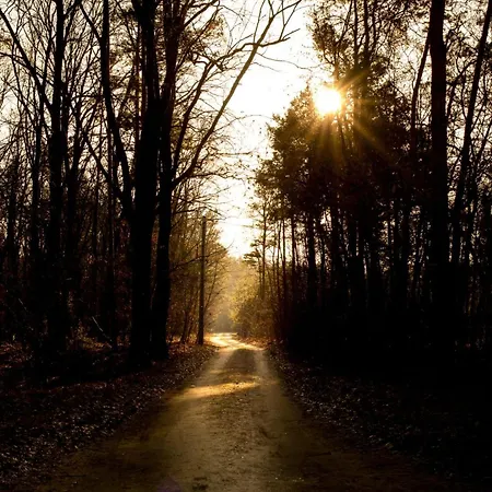 Mala Holenderka - Lewy Brzeg Narwi * Burlaki